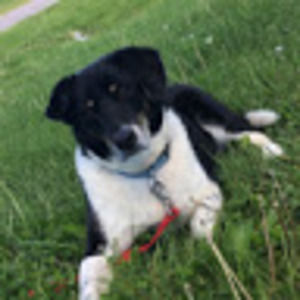 Meet your Posher, Eloise